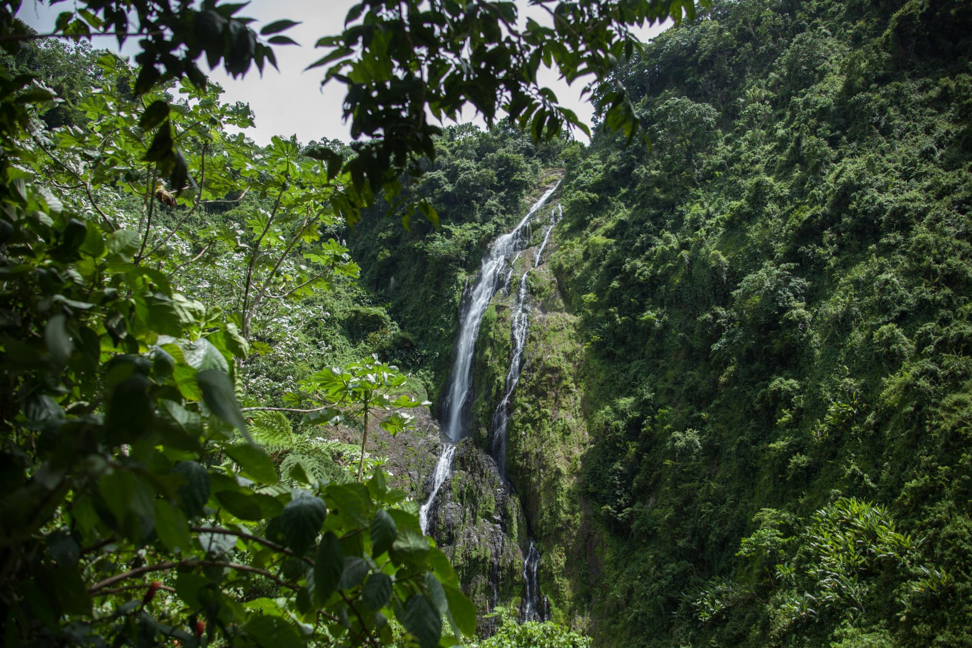 Salto de la Jalda: ¿Un paraíso de Miches ubicado en Hato Mayor? - Diario  Libre
