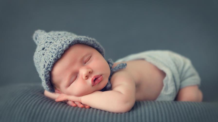 La lucha legal de una pareja por ponerle un nombre de animal a su hijo