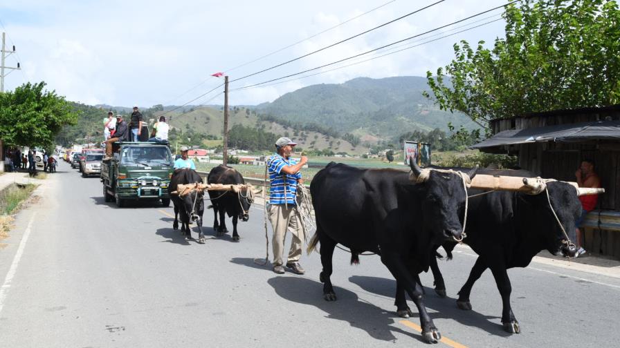 Constanza marcha contra Agricultura