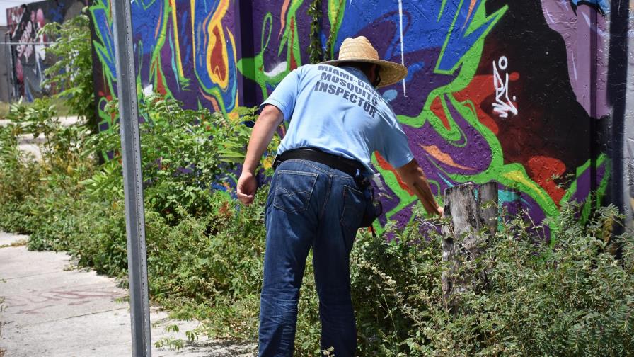 Miami, “zona cero” en EE.UU. de la lucha contra el virus del Zika Miami, “zona cero” en EE.UU. de la lucha contra el virus del Zika