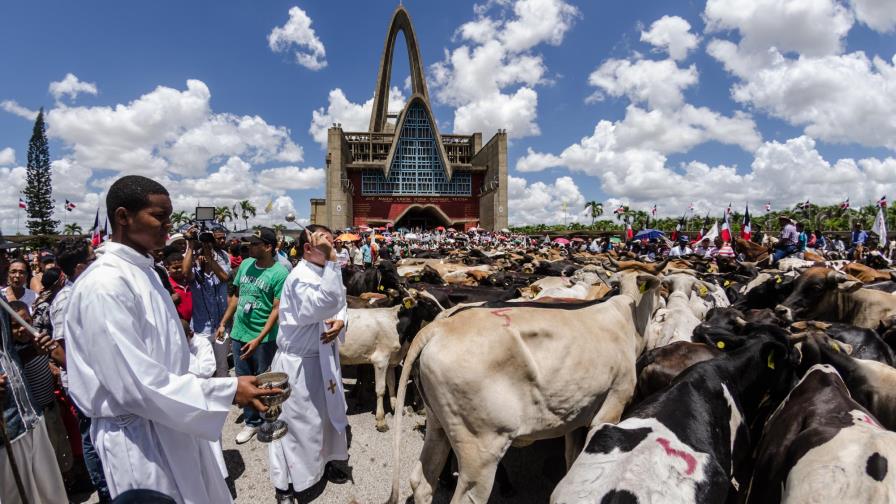 Toros de la Virgen llegan a Higüey 