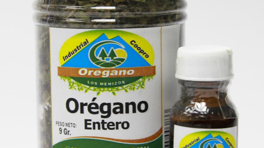 El orégano condimenta economía local de María Trinidad Sanchez 
Productores de la zona gestionan exportación al mercado europeo