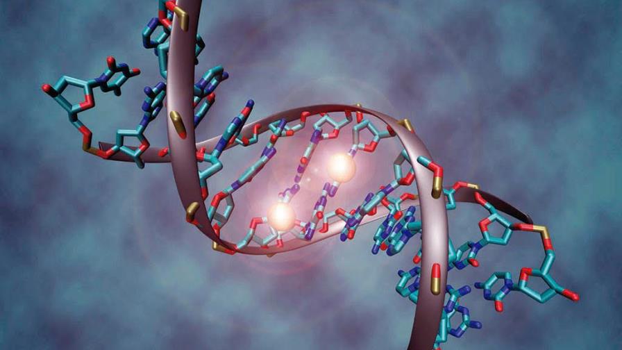 Describen el mapa de mutaciones genéticas y su frecuencia en la especie humana Describen el mapa de mutaciones genéticas y su frecuencia en la especie humana