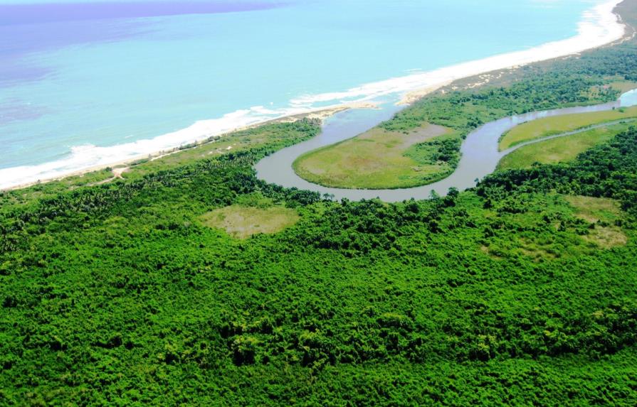 Proyecto turístico podría afectar manglares de Cabarete, en Puerto Plata