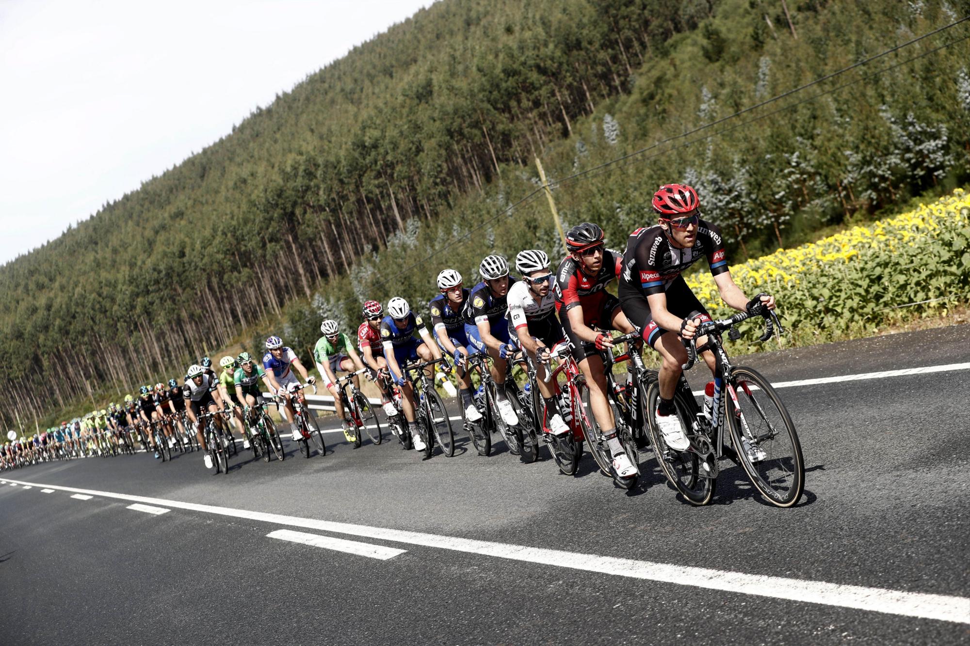 El pelotón durante la quinta etapa de la Vuelta Ciclista a España 2016, disputada hoy entre Viveiro y Lugo con un recorrido de 171,3 kilómetros. 