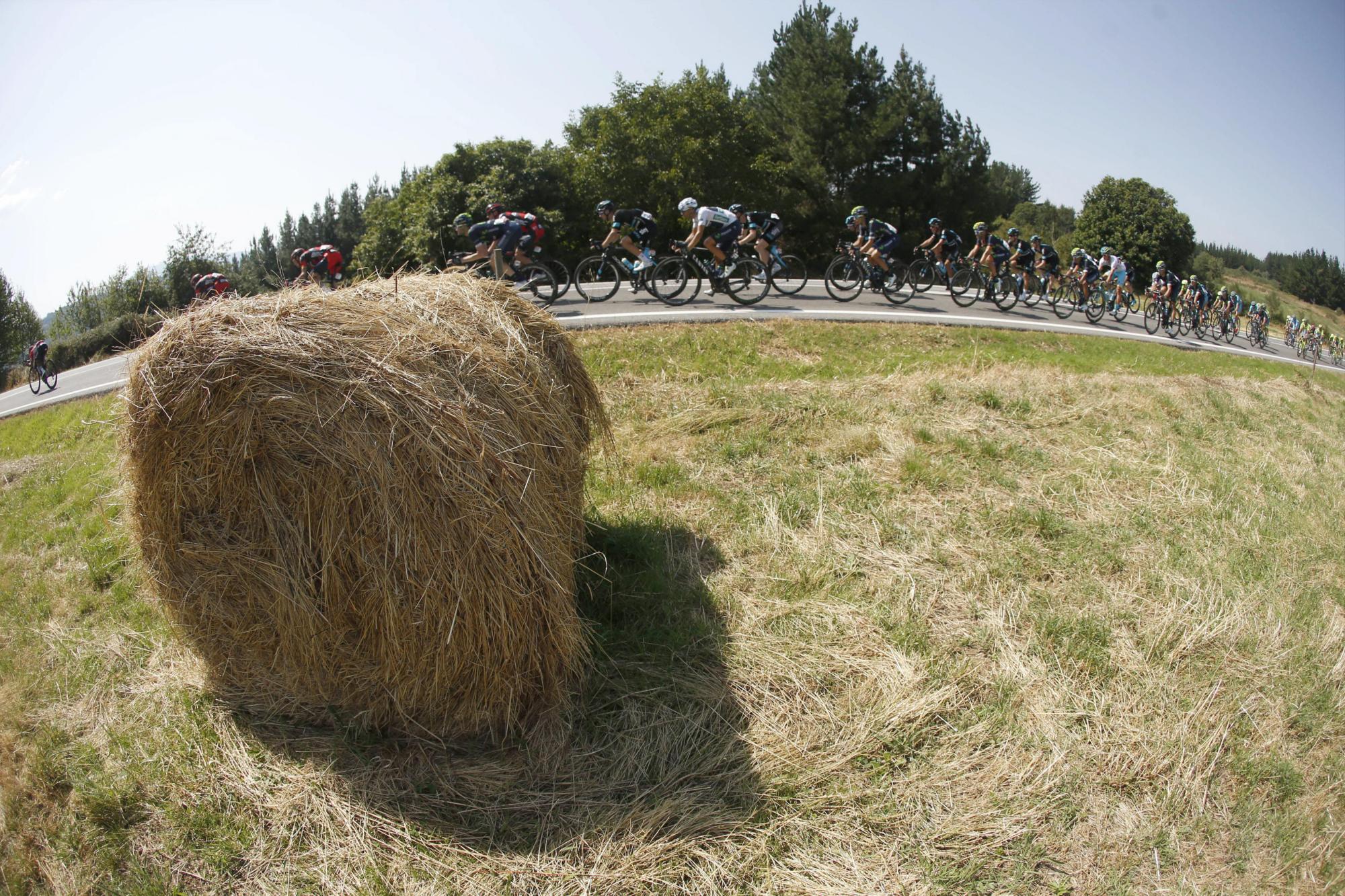 El pelotón durante la sexta etapa de la Vuelta Ciclista a España 2016, disputada hoy entre la localidad lucense de Monforte de Lemos y la orensana de Luintra en la Ribeira Sacra, con un recorrido de 163,2 kilómetros. 