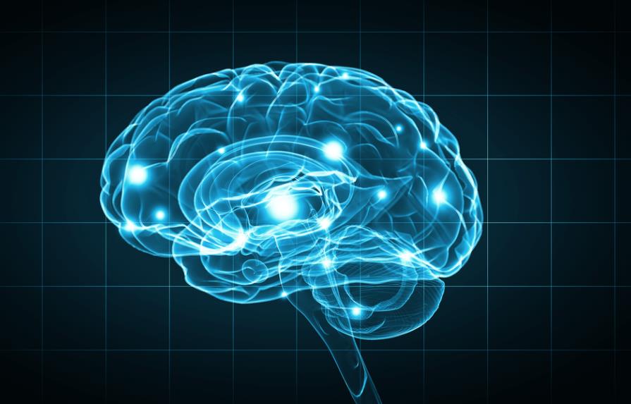 Científicos logran demostrar cómo el cerebro recrea la “sinfónica” del recuerdo