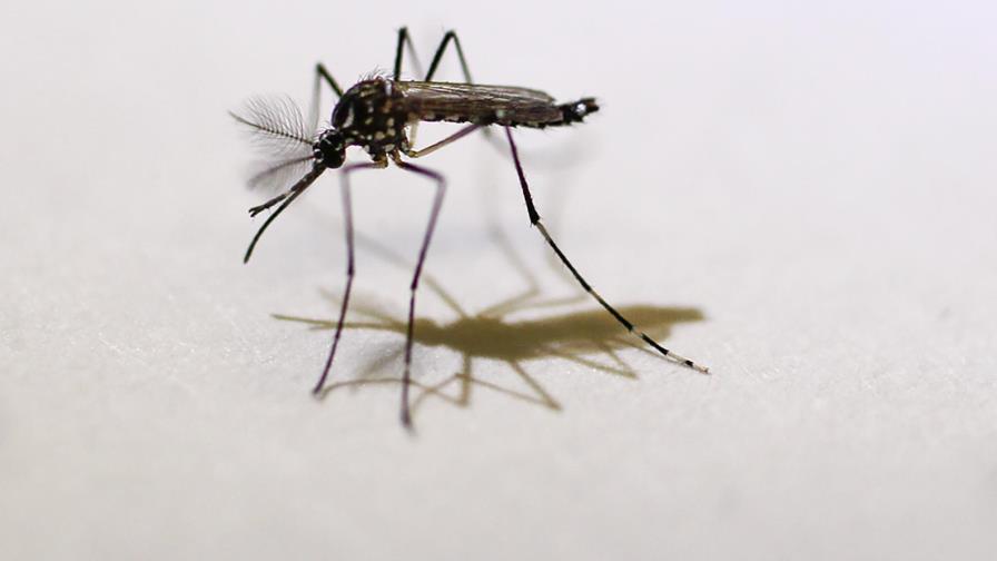 Hombre que viajó a República Dominicana transmitió el Zika sexualmente a una mujer en Estados Unidos