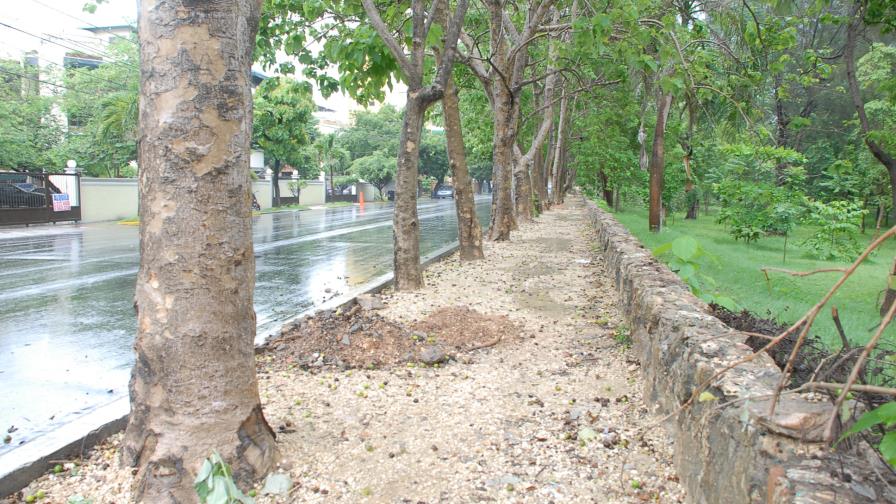 Policía reporta dos hombres tirotearon a una patrulla que les ordenó detenerse en la avenida Anacaona Policía reporta dos hombres tirotearon a una patrulla que les ordenó detenerse en la avenida Anacaona