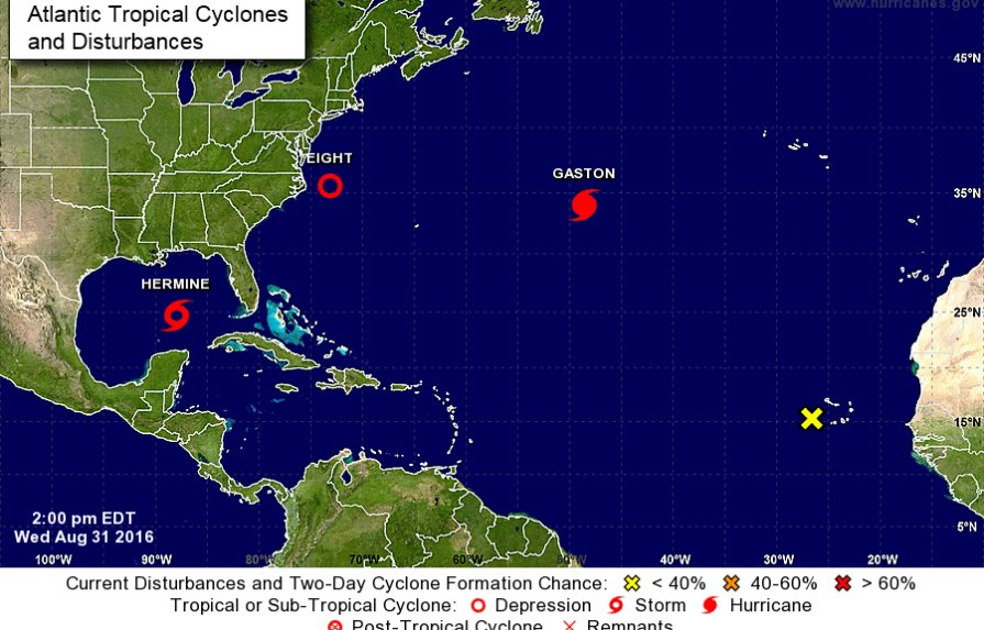 Se forma Hermine, la octava tormenta tropical del Atlántico y amenaza Florida 