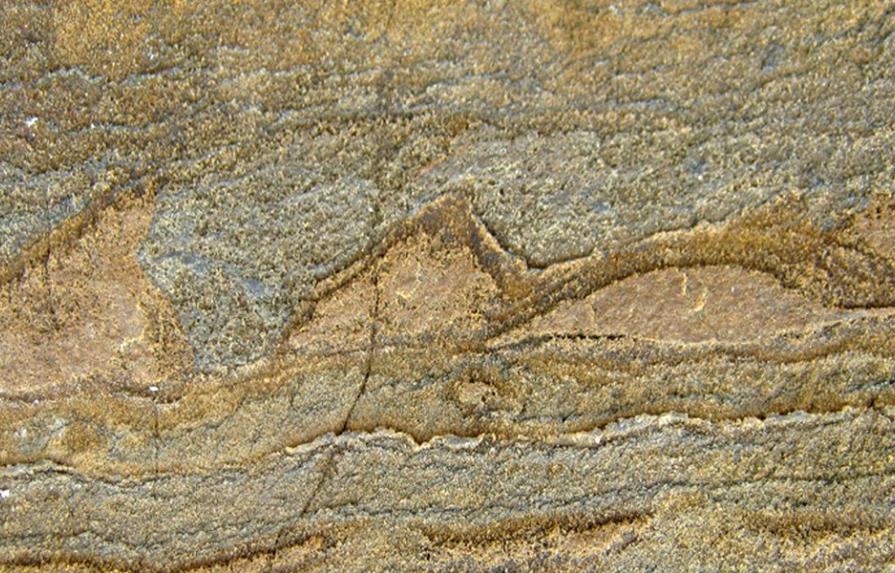 El fósil más antiguo, de 3.700 millones de años, encontrado en Groenlandia