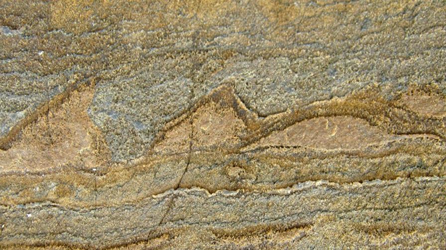 El fósil más antiguo, de 3.700 millones de años, encontrado en Groenlandia El fósil más antiguo, de 3.700 millones de años, encontrado en Groenlandia