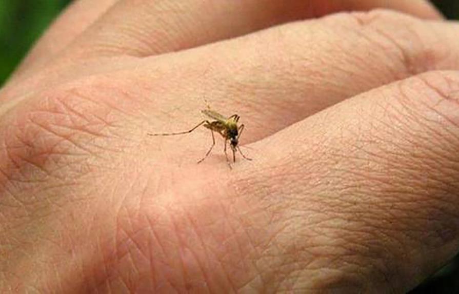 Epidemia zika sigue siendo una emergencia sanitaria de alcance internacional