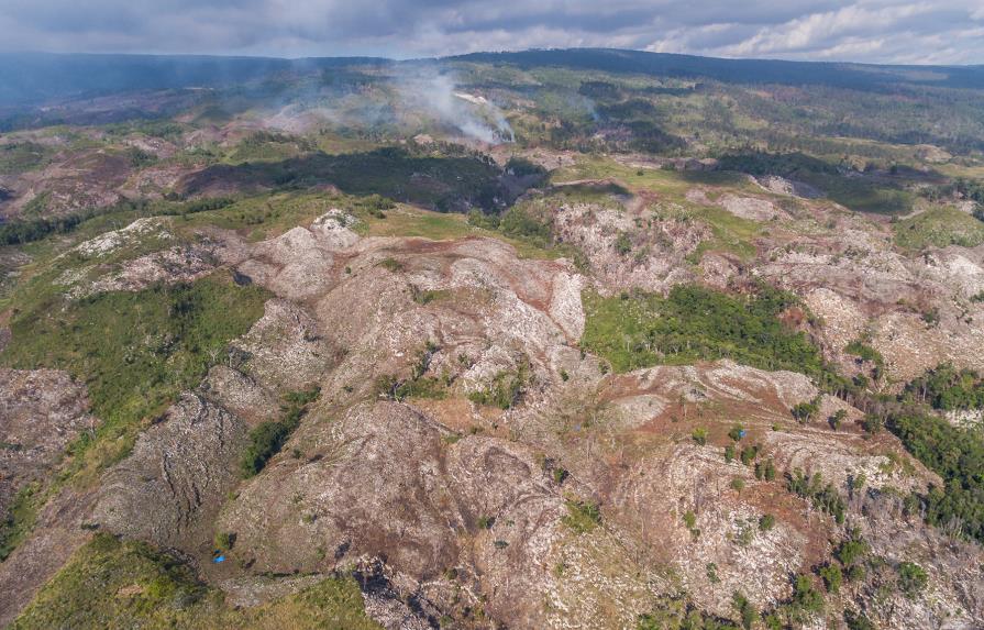 Ambientalistas van a “aplaudir” cuando los grandes caigan por deforestación de bosques