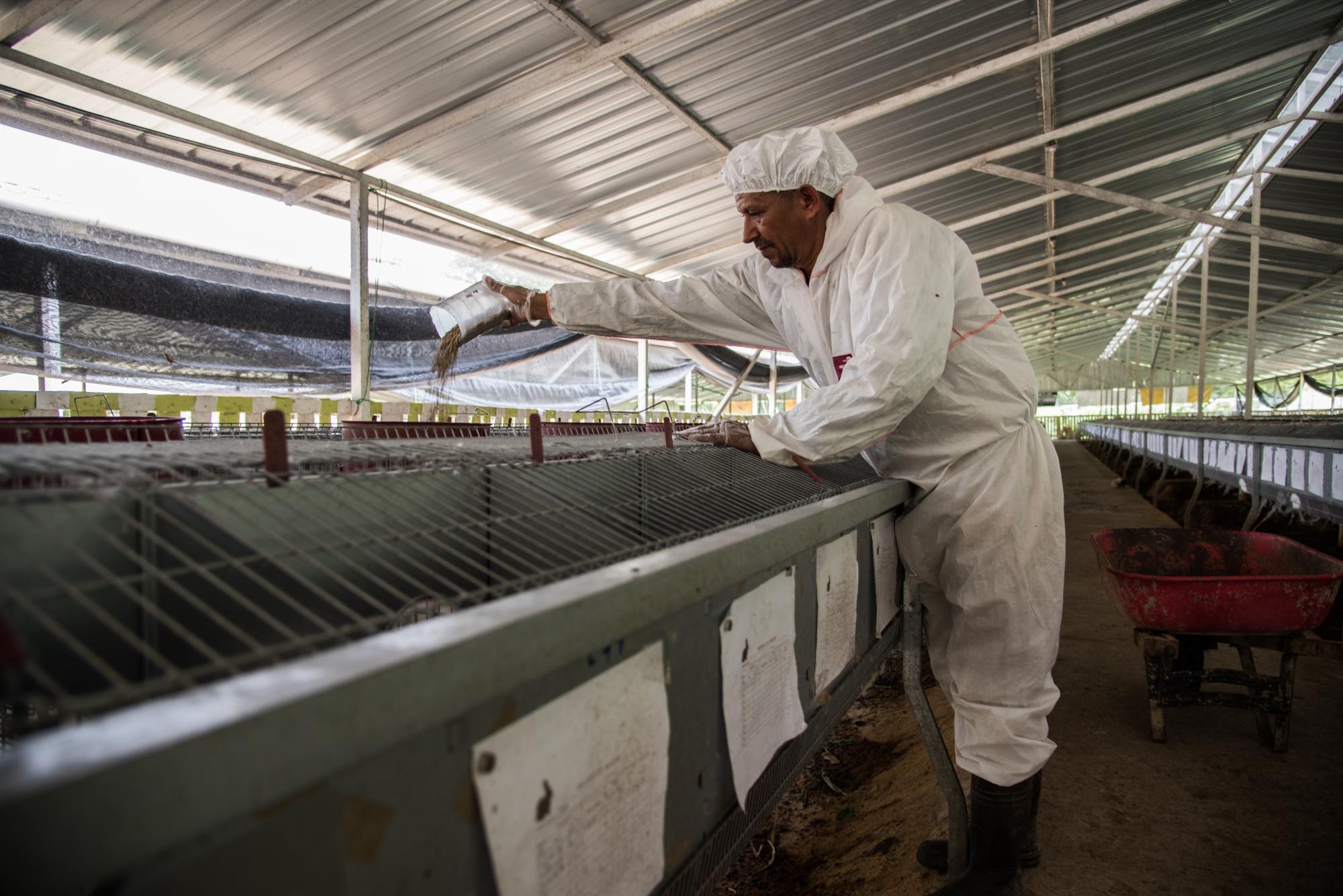 Dolores Vicente, cuidador de conejos.