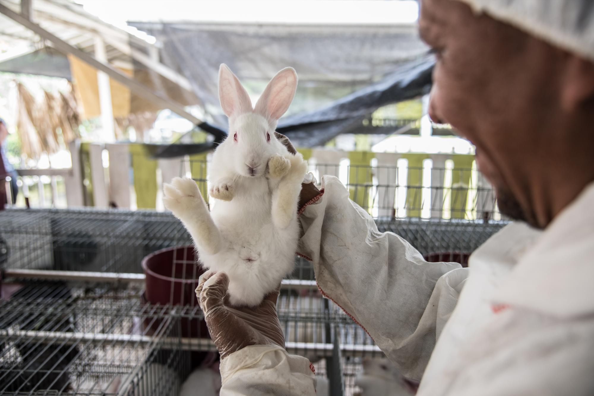 Dolores Vicente, cuidador de conejos.