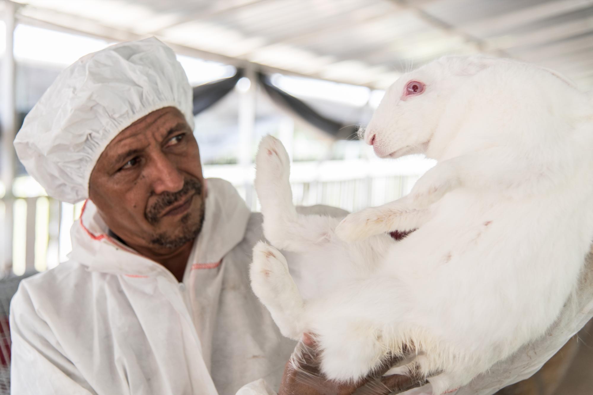 Dolores Vicente, cuidador de conejos, muestra una de las madres.