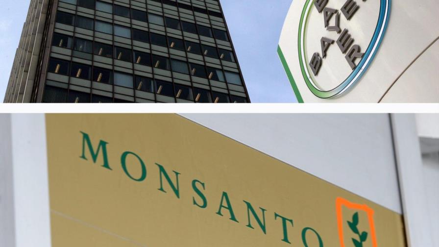 Bayer compra la estadounidense Monsato por 66,000 millones de dólares Bayer compra la estadounidense Monsato por 66,000 millones de dólares