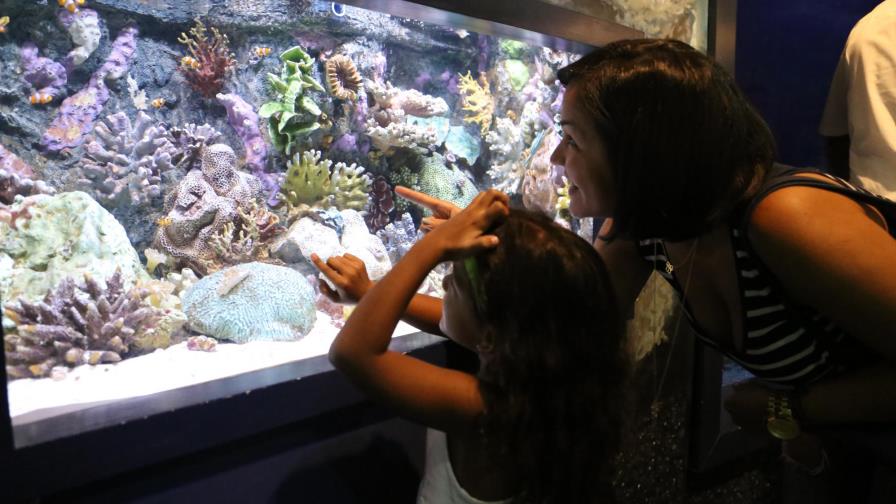 Si apoyas el Día Mundial de Limpieza de Costas, “pasea” debajo del mar