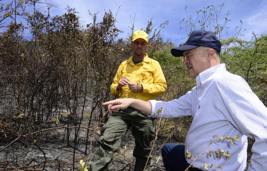 Medio Ambiente continúa investigaciones para determinar el origen del incendio del Morro 
