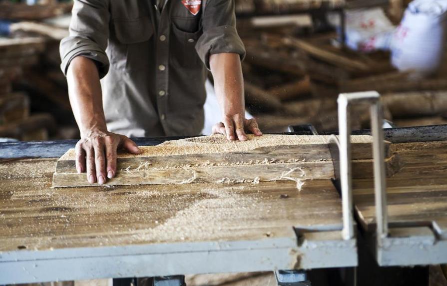 FAO destaca la importancia de la madera legal