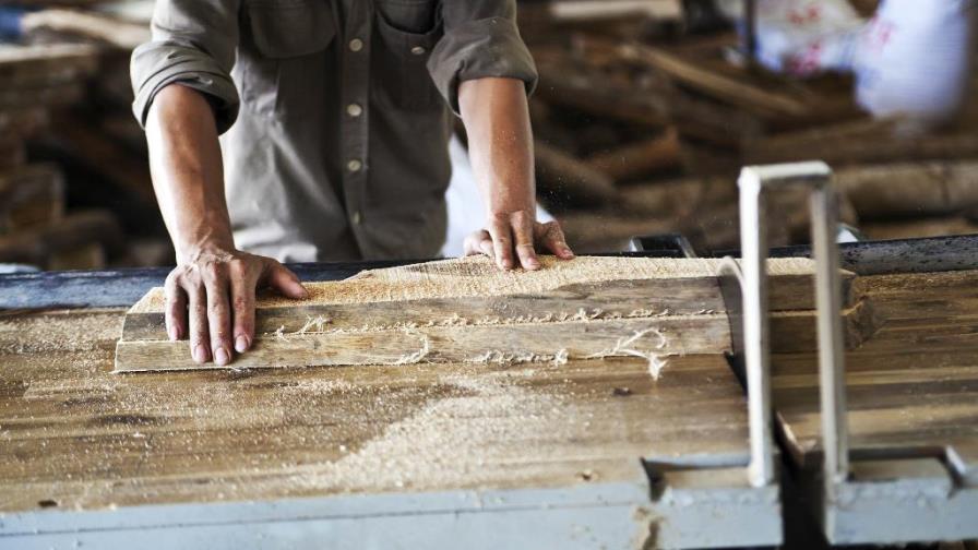 FAO destaca la importancia de la madera legal