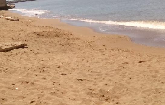 “Estamos destruyendo a quien nos da la vida”, dice ministro de Medio Ambiente