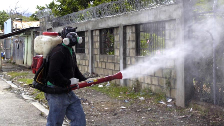 Nuevo virus complica el diagnóstico de dengue