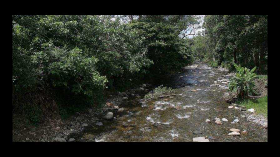 Científicos elaboran base de datos de bosque seco de Latinoamérica y el Caribe