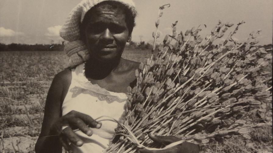 Tierra negra se esparce en la Ciudad Corazón