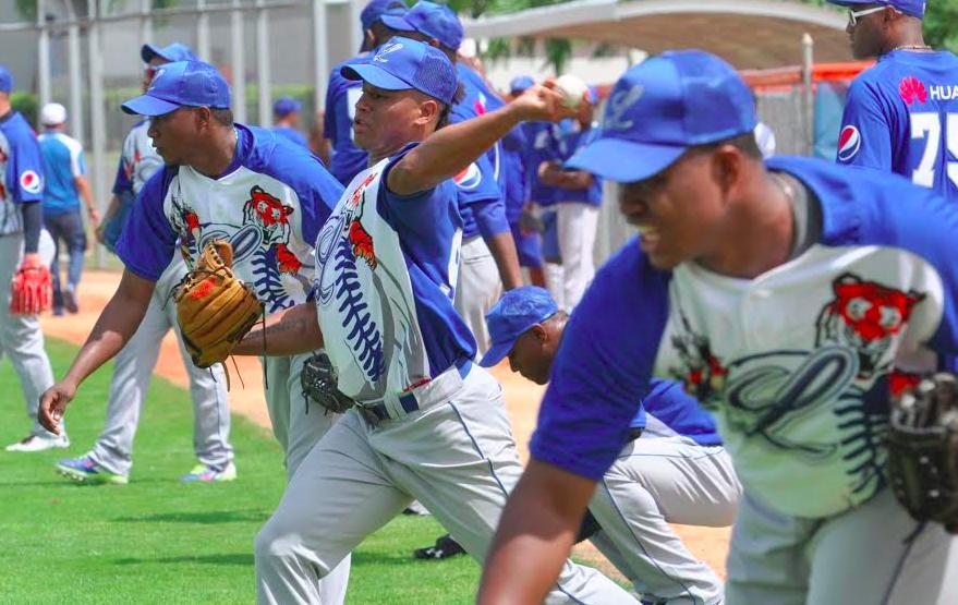 Entrenamientos de equipos reflejan inicio del béisbol dominicano