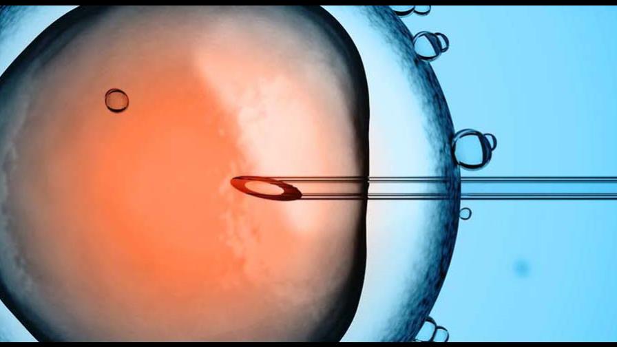 Nace el primer bebé del mundo con ADN de tres padres