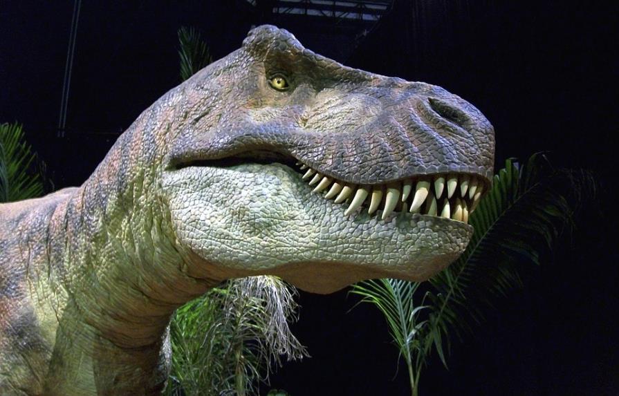 La evolución de los grandes dinosaurios favoreció los ornamentos craneales