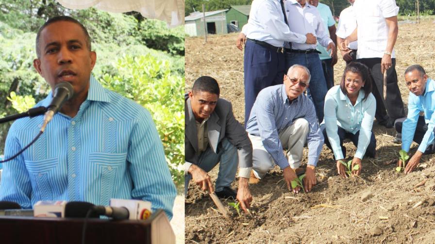 Intabaco anuncia cosecha 2016-2017; dice genera más US$700 millones al año