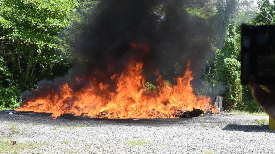 Mapa interactivo: Droga incautada por provincia en lo que va de año