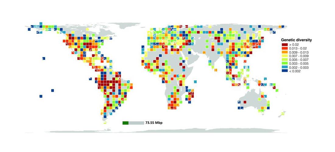 Elaboran el primer mapa global de la diversidad genética en el planeta