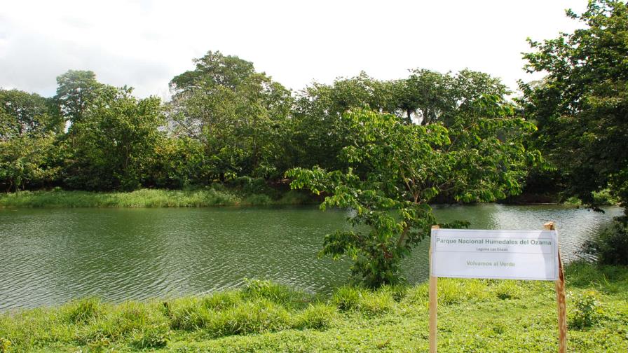 Buscan identificar impacto ambiental