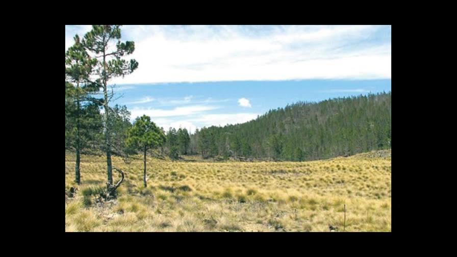 Agricultores de Valle Nuevo piden diálogo con ministro de Medio Ambiente
