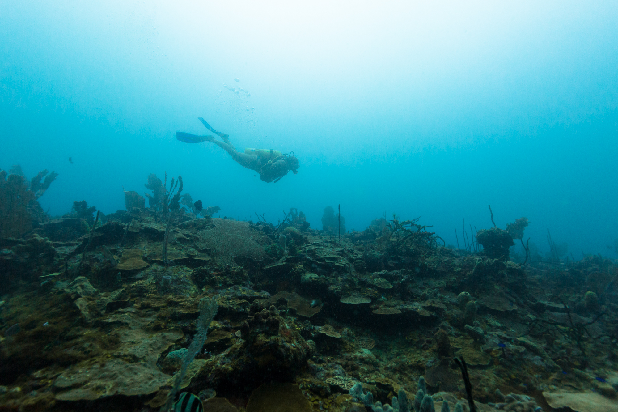 Fotografía donde se puede ver a Danielle Ryan poco antes del accidente en La Caleta