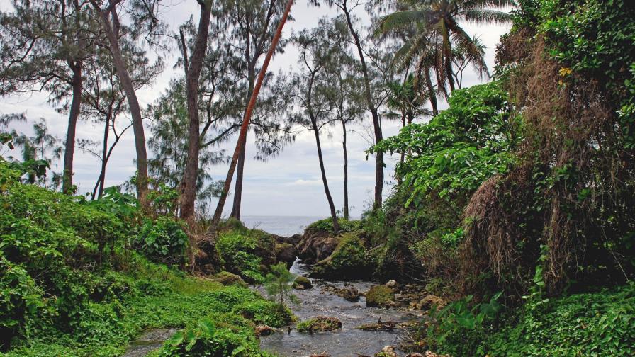 Los primeros pobladores de Vanuatu llegaron desde Asia, según estudio de ADN