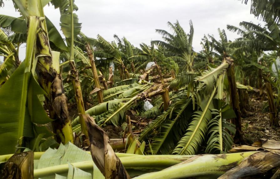 Ciclones que “vapulearon” la economía dominicana en los últimos años 
