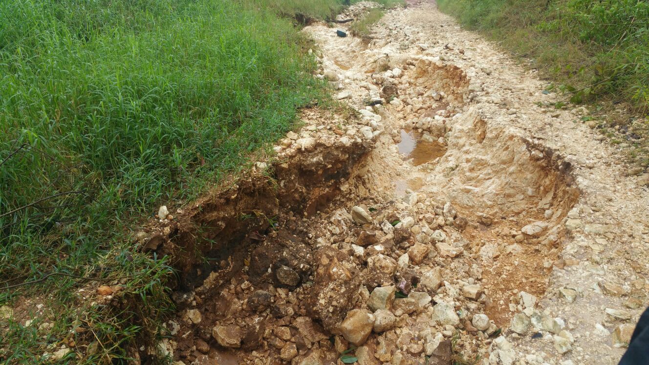 El camino a la zona agrícola de los arroyos está inhabilitado.