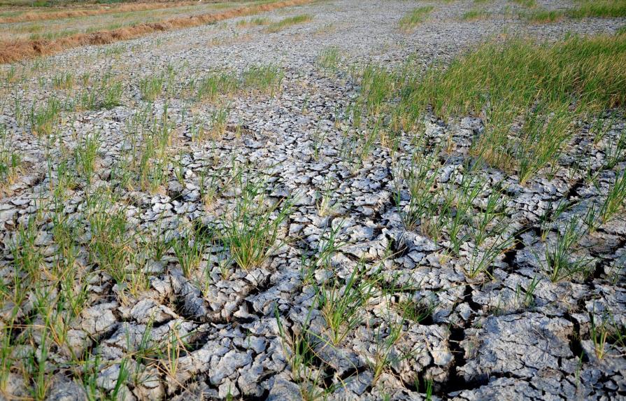El suroeste de EEUU enfrenta amenaza de mega sequías 
