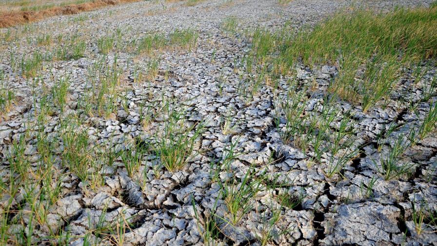 El suroeste de EEUU enfrenta amenaza de mega sequías 