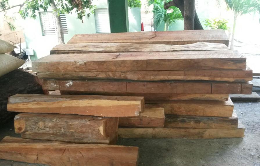 Medio Ambiente se incauta de madera cortada ilegalmente en Barahona y Dajabón