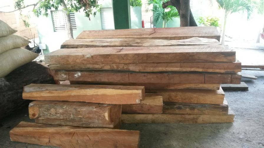 Medio Ambiente se incauta de madera cortada ilegalmente en Barahona y Dajabón