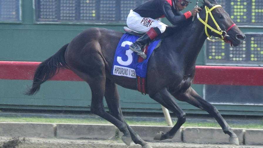 Kamikaze gana carrera estelar en el Hipódromo V Centenario 
