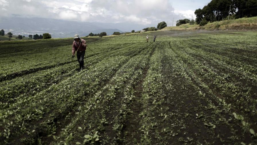 El trato digno y protección del ambiente: pilares fundamentales del futuro de la agricultura
