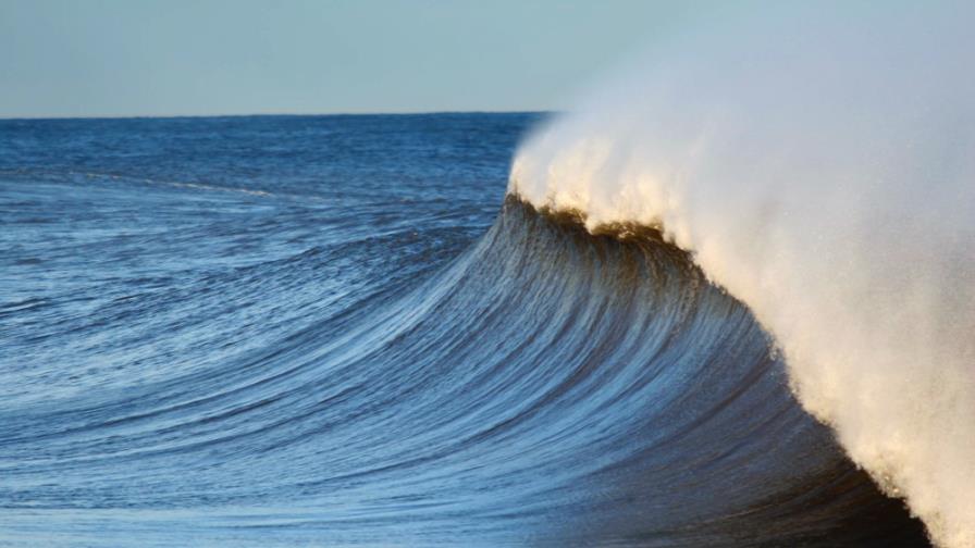 Un tercio de los océanos está anémico por falta de hierro