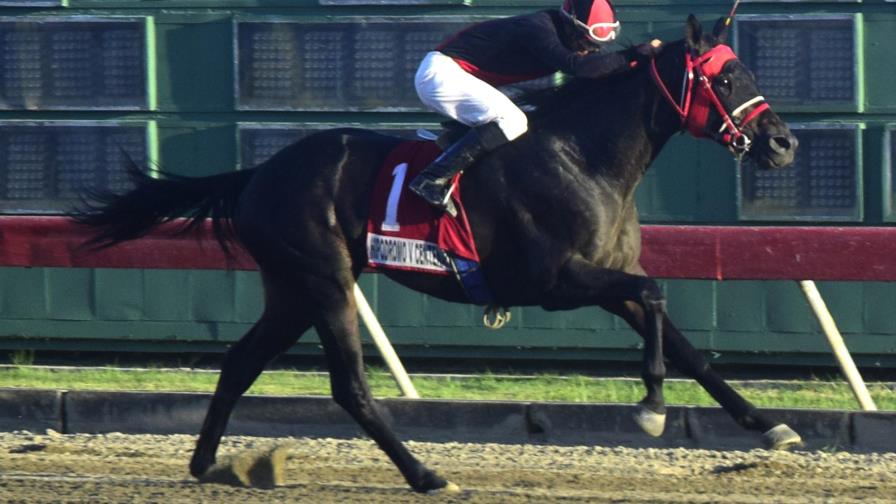 Sensato derrota a “Fratello Martino” y busca pase para el Kalil Hache